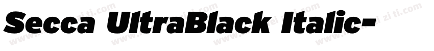 Secca UltraBlack Italic字体转换